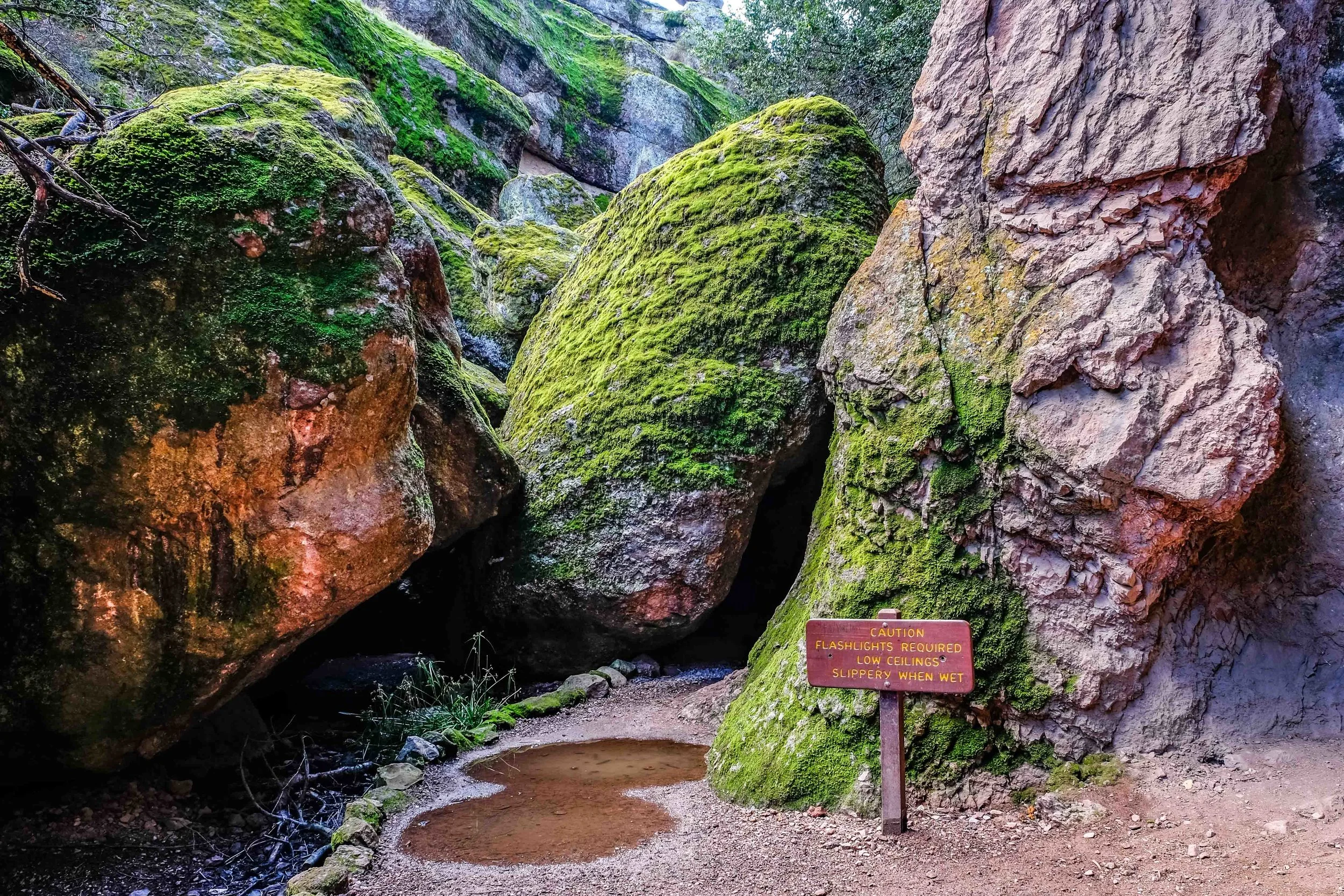 Pinnacles National Park — The Greatest American Road Trip
